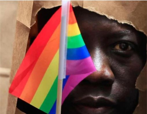 Pride image 3